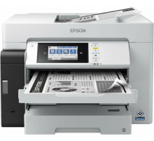 Принтер Epson M15180