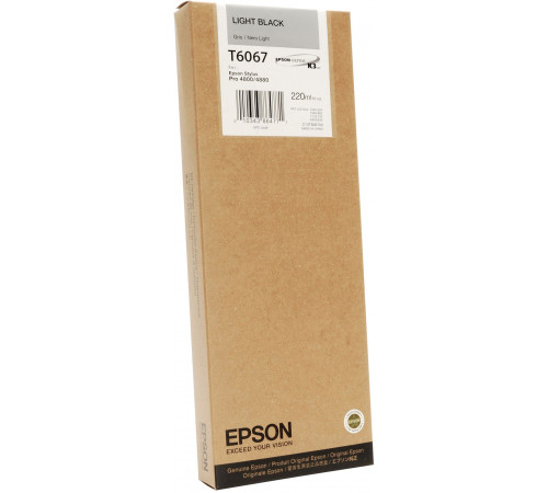 Картридж Epson C13T606700