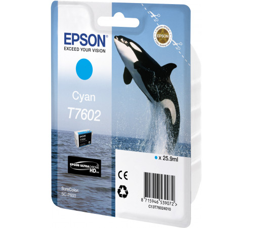 Картридж Epson C13T76024010