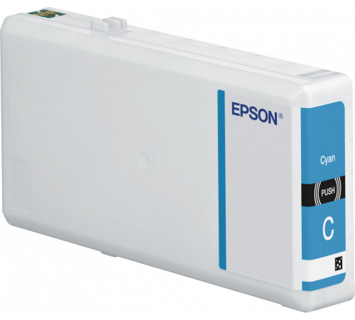 Epson C13T79024010