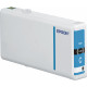 Epson C13T79024010