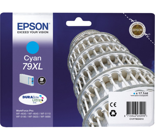 Epson C13T79024010
