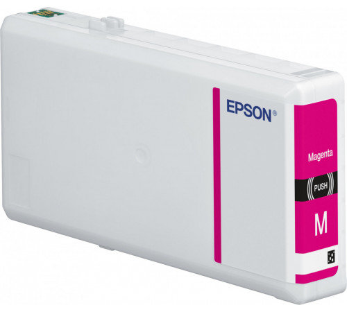 Epson C13T79034010