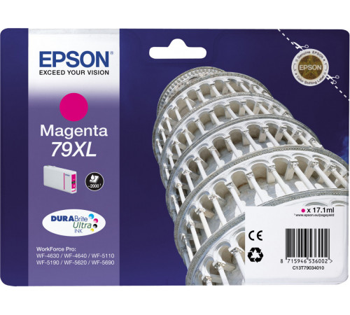 Epson C13T79034010