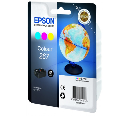 Картридж Epson C13T26704010