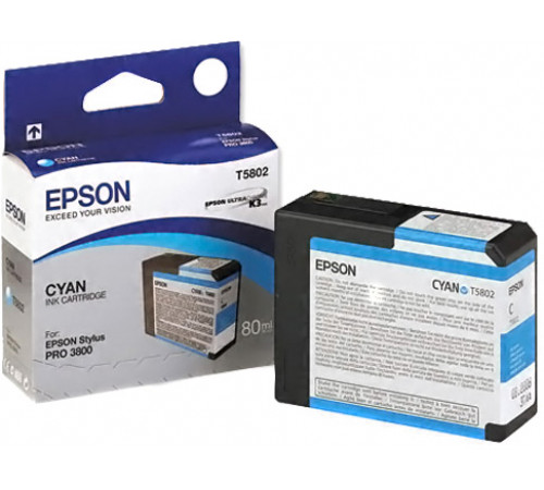 Картридж Epson C13T580200