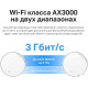 Беспроводной маршрутизатор TP-Link Deco X50-PoE (1 шт)