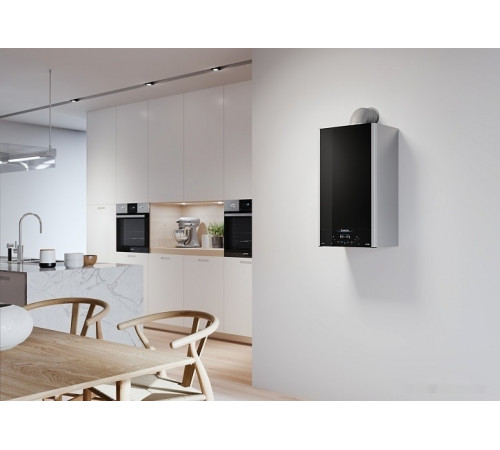 Отопительный котёл Ariston Alteas XC 24 FF 3301670