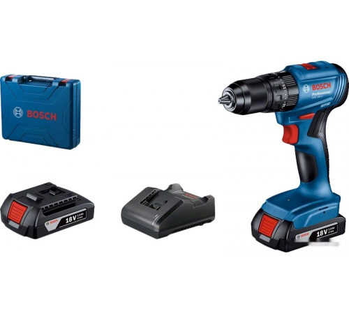 Ударная дрель-шуруповерт Bosch GSB 185-LI Professional 06019K3100 (с 2-мя АКБ, кейс)