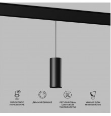 Точечный светильник Elektrostandard Slim Magnetic Dim Amend 85073/01 (черный)