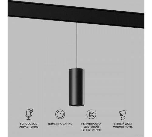 Точечный светильник Elektrostandard Slim Magnetic Dim Amend 85073/01 (черный)