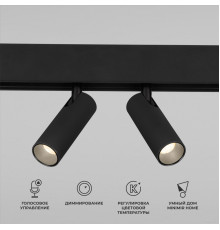 Точечный светильник Elektrostandard Slim Magnetic Dim Dual 85056/01 (черный)