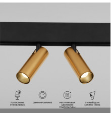 Точечный светильник Elektrostandard Slim Magnetic Dim Dual 85056/01 (латунь)
