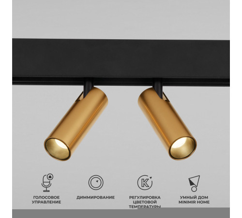 Точечный светильник Elektrostandard Slim Magnetic Dim Dual 85056/01 (латунь)