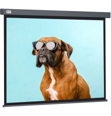 Проекционный экран Cactus Wallscreen 149x265 CS-PSW-149X265-SG