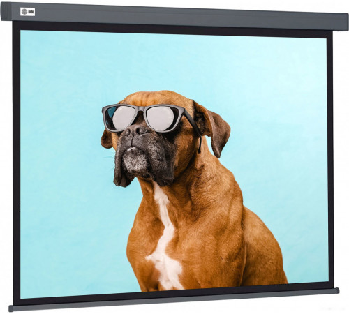 Проекционный экран Cactus Wallscreen 149x265 CS-PSW-149X265-SG