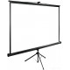 Проекционный экран Cactus TriExpert 150x200 CS-PSTE-200X150-BK
