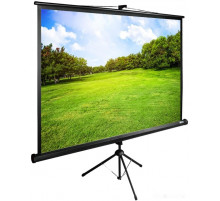 Проекционный экран Cactus TriExpert 150x200 CS-PSTE-200X150-BK