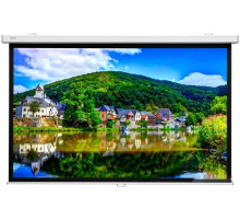 Проекционный экран Lumien Master Picture 172х176 LMP-100110CSR