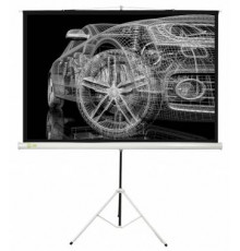 Проекционный экран Cactus Triscreen CS-PST-124x221