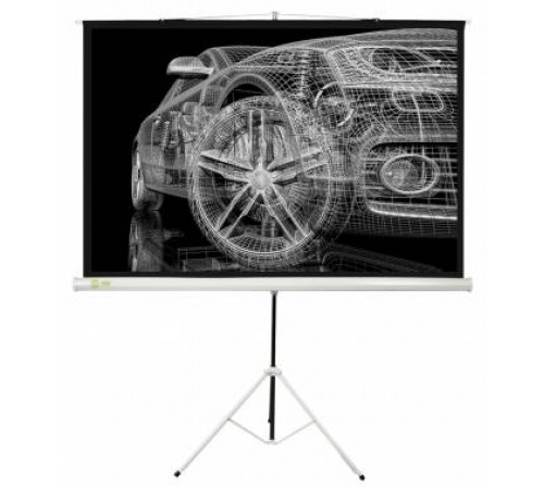 Проекционный экран Cactus Triscreen CS-PST-124x221