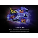 Телевизор HAIER 50 Smart TV S4