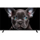 Телевизор TopDevice 43" 4K OS SALUTE TV (черный)