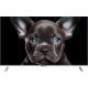 Телевизор TopDevice 43" 4K OS SALUTE TV (белый)